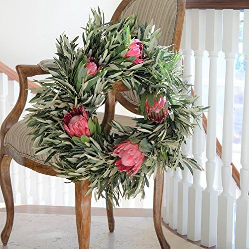 Queen Protea and Olive Wreath - 20 inch