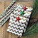 Outside the Box Papers Gold and Mint Green Treat Sacks - Chevron Polka Dot Favor Bags - 5.5 x 7.5 Inches - 48 Pack