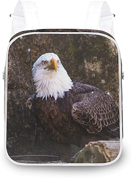 mochilas american eagle para mujer