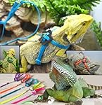 Tzou Adjustable Reptile Lizard Harness Leash Adjustable Multicolor Light (Blue)
