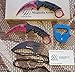 KARAMBIT CSGO Knife Skins By Magnolia Gear | Tactical Knife | Neck Knife Easy To Carry with Rope, Sheath and Sharpener | Perfect for Hunting Fishing Camping Survival | Personal Self Defense Crimson