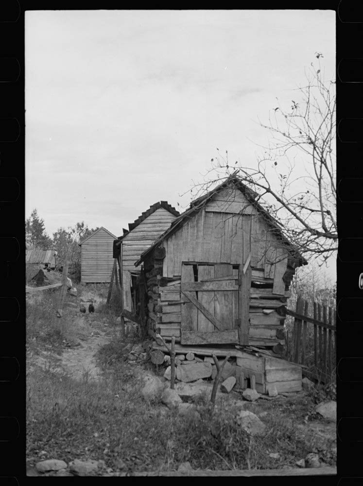 Amazon Com Postmaster Brown At Old Rag Virginia Photographs