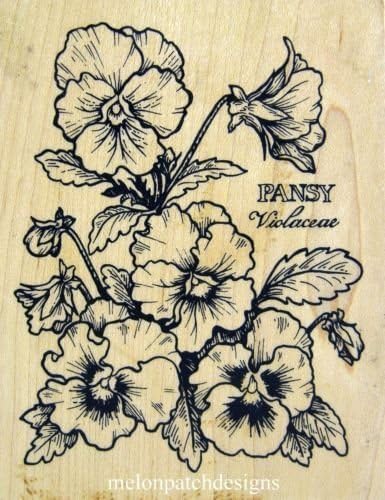 PSX K-774 Pansy Flower Botanical Rubber Stamp - 4-5/8" X 3-5/8"