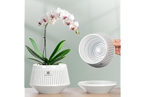 Meshpot 5 inch Orchid Pots with Holes for Repotting,Set of 1,Decorative Orchid Planter with Air-Pruning and Good Air Circulat