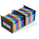 ThinkTex Plastic Expanding Hanging File Folders,12 Accordion Pockets,Large Capacity for Letter Size, Organizer for Filing Cabinet,Ideal for Tax,Contracts,Invoices,for Office,School-black-2set