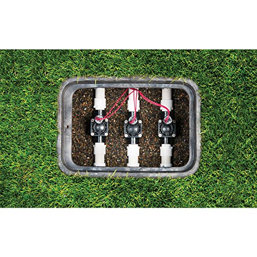 PGV-101G Globe Valve - Image 2