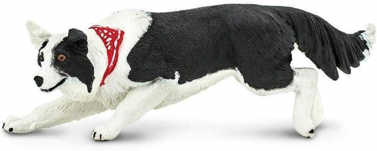 best toys for a border collie