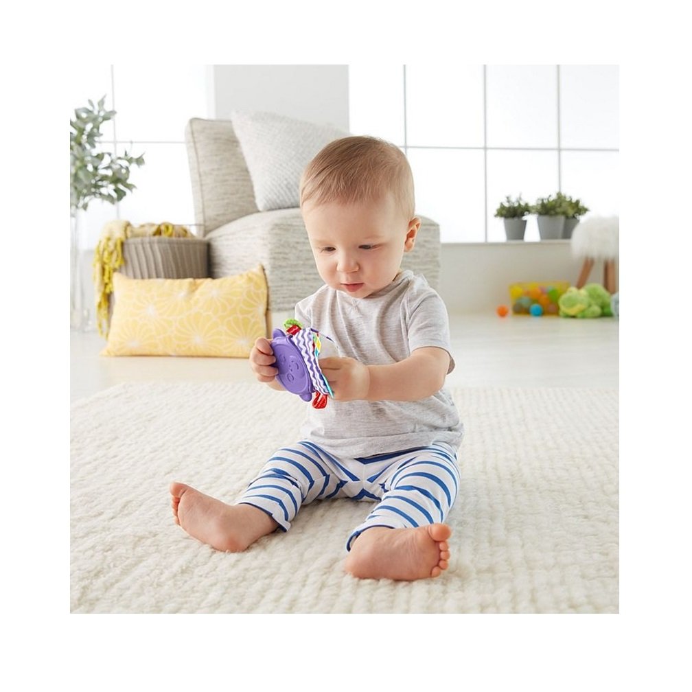 monkey teether fisher price