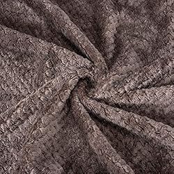 Fuzzy Throw Blanket, Plush Fleece Blankets for