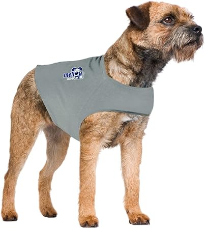 mellow shirt dog anxiety calming wrap