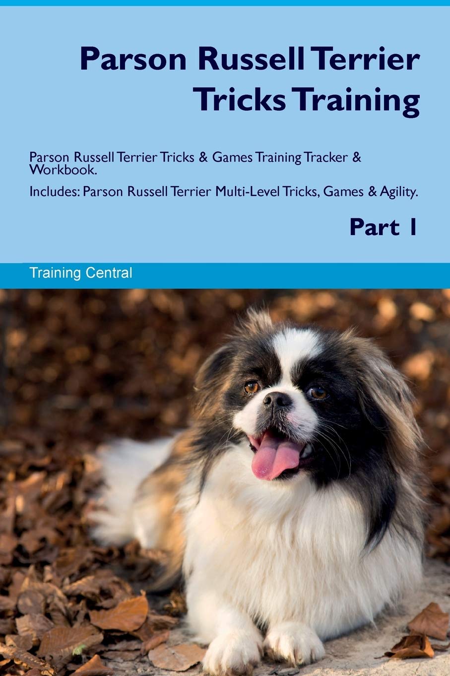 parson russell terrier training