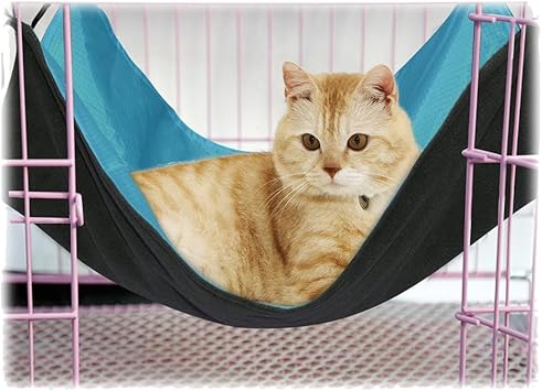 Amazon Yuuma 猫 ハンモック 猫 ハウス ペット用品 取り付け簡単 リバーシブル ナスカン付 バ ックル付 さわやか ふかふか 冬夏両用 猫 用 ハンモック 小動物用ペット用品 Yuuma ベッド ソファ 通販 Amazon Yuuma 猫 ハンモック 猫 ハウス ペット用品 取り付け簡単 リバーシブル ナスカン付 バ ックル付 さわやか ふかふか 冬夏両用 猫 用 ハンモック 小動物用ペット用品 Yuuma ベッド ソファ 通販