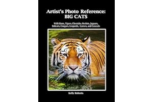 Artist's Photo Reference: Big Cats: With Lions, Tigers, Cheetahs, Ocelots, Jaguars, Bobcats, Cougars, Leopards, Lynxes, and Caracals (Paint & Draw Reference Photos)