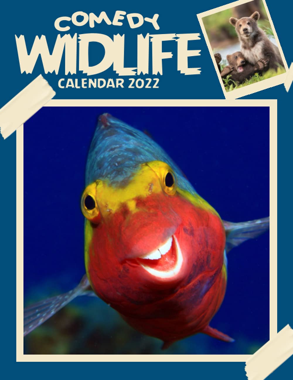 Fishing Calendar September 2023 Comedy Wildlife Calendar 2022: 2022-2023 Calendar Animals-Animal Wildlife  Calendar July 2022 To December 2023 With High Quality Cute Animal Photos  For Animal Lover Gifts For Kids: Toledo, Domenico: 9798480034578: Books -  Amazon.ca
