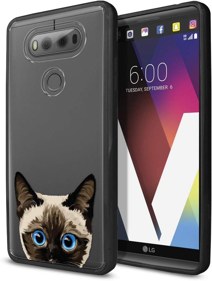 Best carrying case for lg v20 battery