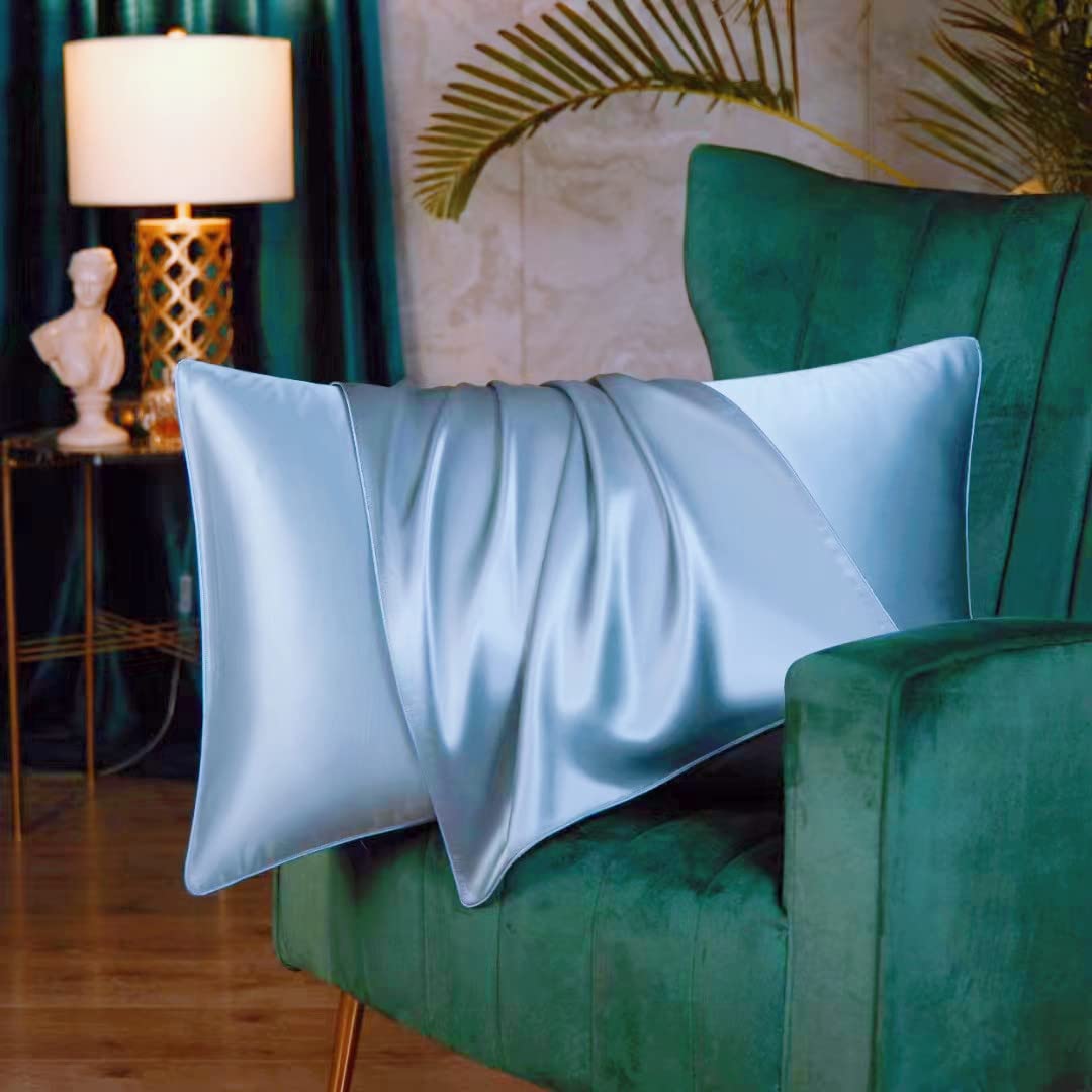 Both Sides Luxury Mulberry Silk Pillowcase 19 Momme Soft Breathable Avoid Facial Wrinkles Hidden Zipper 1pc/pack 100% Pure Natural Silk (Lt.Blue, Standard 50x75cm)