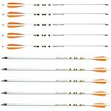 FengYang Crossbow Bolts 20 Inch Mix Carbon Arrows Replaceable LED Lighted Nocks Tup Vanes for Archery Hunting and Targeting