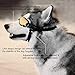 Dog Sunglasses, Dog Goggles for Medium and Large Dog Eye Protection with UV-Proof, Water Proof, Wind Proof, Shatter Proof, Scratch Proof, Adjustable, Lightweight, Breathable, Durable Nylon Material