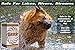 Dog Shampoo Bar, Anti-Bacterial, Anti-Fungal, Organic. Relieves Hot Spots and Itching. Bentonite, Neem Oil and Shea Butter. Organic, 5.8 oz. GRRR Brand