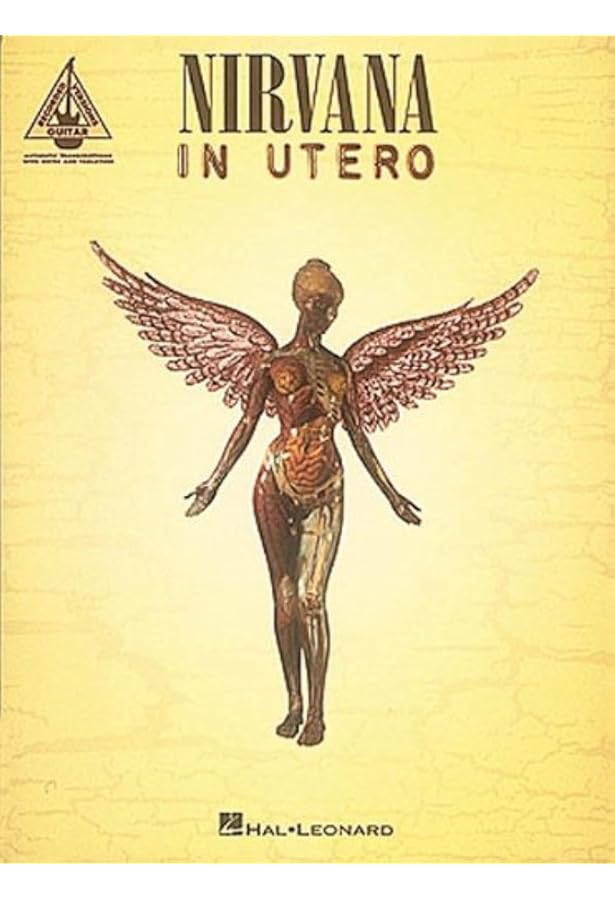 Nirvana Incesticide レコード Amazon.com: Incesticide[20th Anniversary] [45RPM 180g 2 LP]: CDs