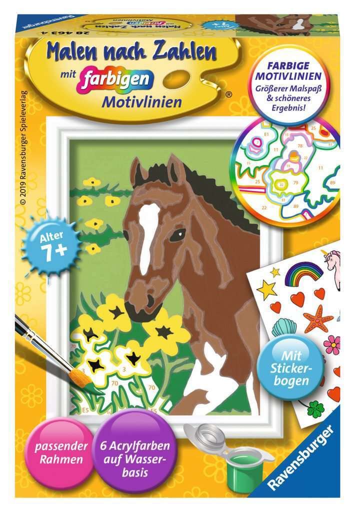 Ravensburger Paint by Numbers