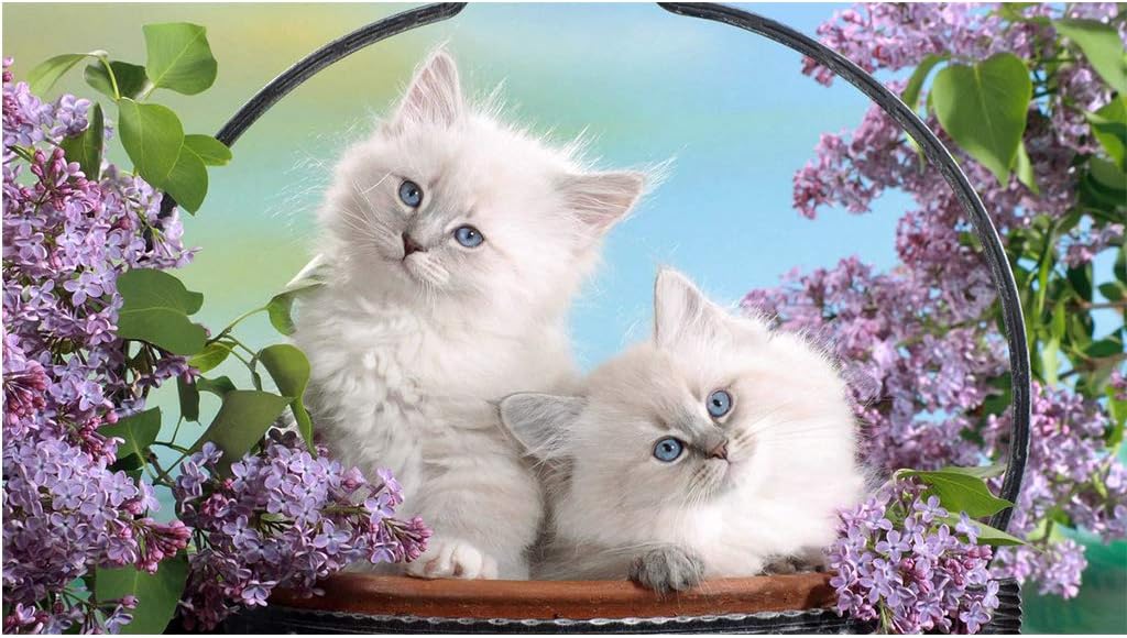 5D Diamond Painting for Adult DIY Full Diamond Painting Kit Lovely Cats Diamond Art by Numbers Full Drill Diamond Embroidery Wall Decor (11.8X15.7inch)