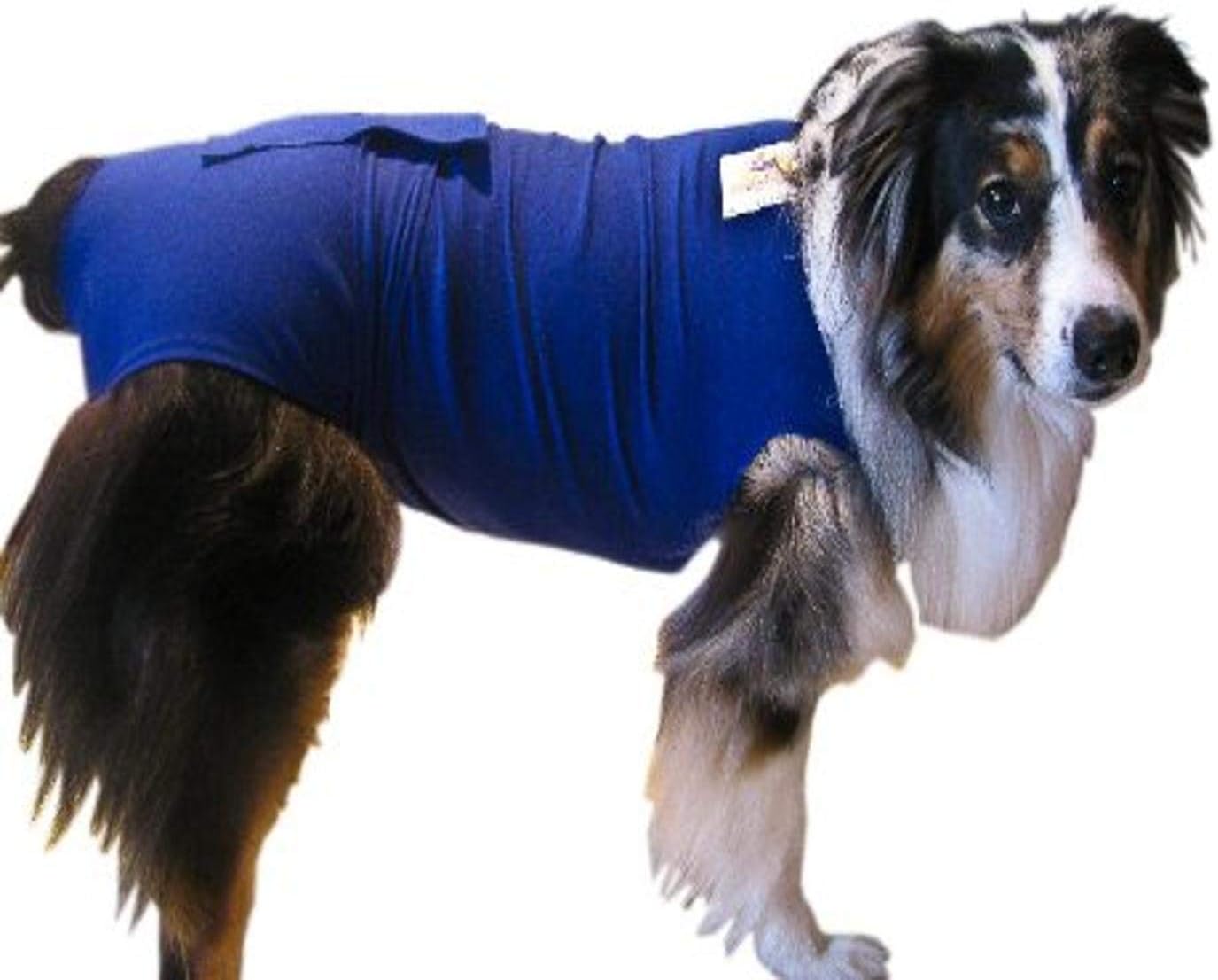 elizabethan collar alternative