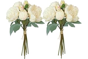 TOCHGREEN Artificial Peonies Silk Flowers 2 Bouquets Vintage Fake Peonies 14pcs Heads Faux Peony Flowers with Stems for Home 