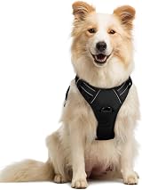 rabbitgoo Dog Harness Medium No Pull Front Back Leash Clips Reflective