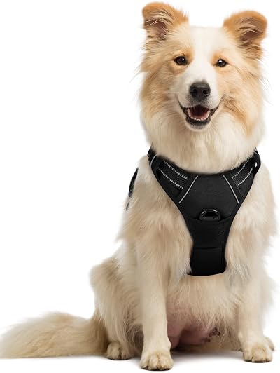 rabbitgoo Dog Harness Medium No Pull Front Back Leash Clips Reflective