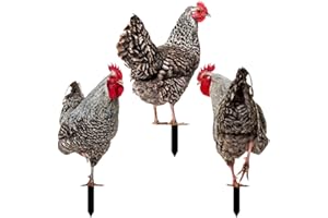 JOINPAYA 3pcs Outdoor Yard Chicken Stake Garden Decor Set, Metal Rooster and Hen Ground Insert Lawn Ornament