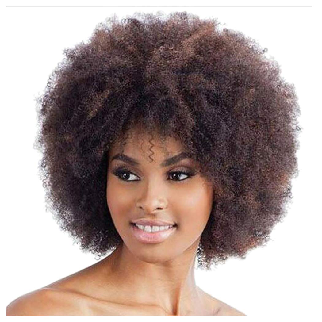 Clearance Afro Wigs For Black Women Short Fluffy Kinky Curly Wigs