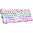 HUO JI 65% Mechanical Gaming Keyboard, E-Yooso Z-88 with Blue Switches Metal Panel Rainbow LED Backlit, Compact 81 Keys, Silver and White