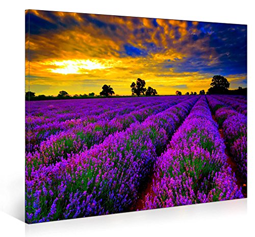 Nuolanart-purple lavender morning framed canvas wall ar…