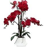 CXGS Artificial Orchid Flower Plant 20.9'' Real Touch Faux Orchids in Ceramic Vase Red Fake Phalaenopsis Flower Arrangement Silk Orchids with Stems for Centerpiece Table Home Indoor Decor