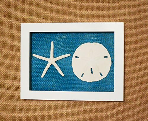 Sand Dollar and Starfish Shadow Box Frame, Shell Beach Decor Wall Art,Glass Enclosed, Many Background Colors, Ready to Hang (1, Turquoise Burlap)