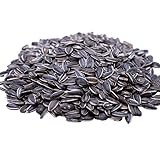 Lightly Sea Salted Sunflower Seed in Shell by Gerbs