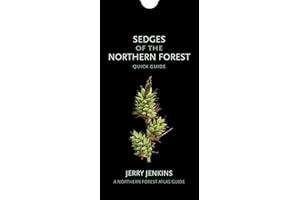 Sedges of the Northern Forest: Quick Guide