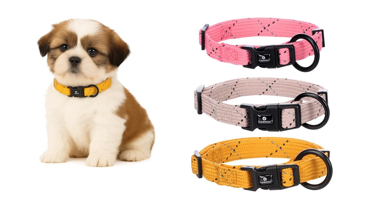 Flamingo Dog Collar Puppy Dolly Ochre XS 20-35cm 10mm