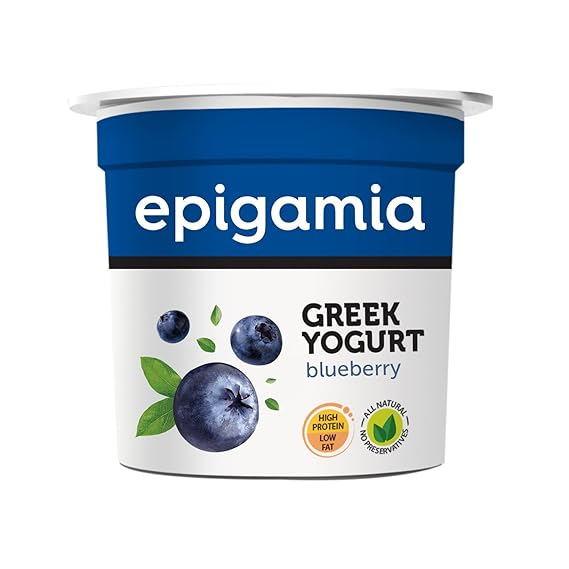 Epigamia Blueberry Greek Yogurt, 90g Amazon.in Grocery & Gourmet Foods