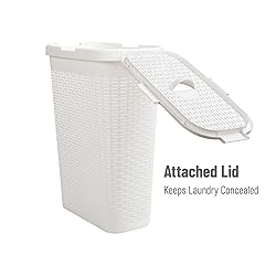 Mind Reader 40L Slim Laundry Hamper, Clothes
