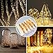 AMIR 200 LED Solar String Lights (150 LED, Warm White)