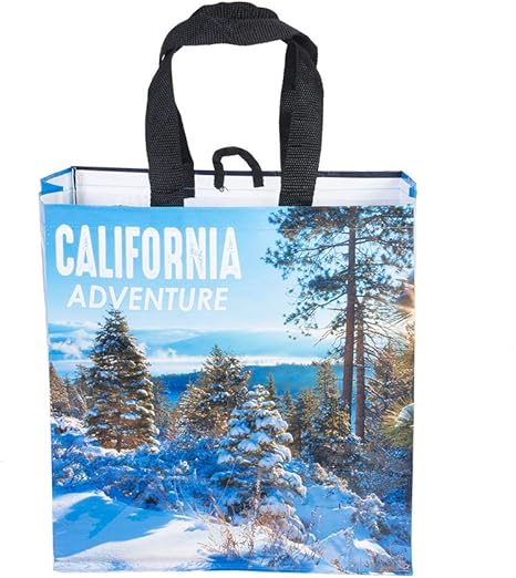 cleaning reusable grocery bags