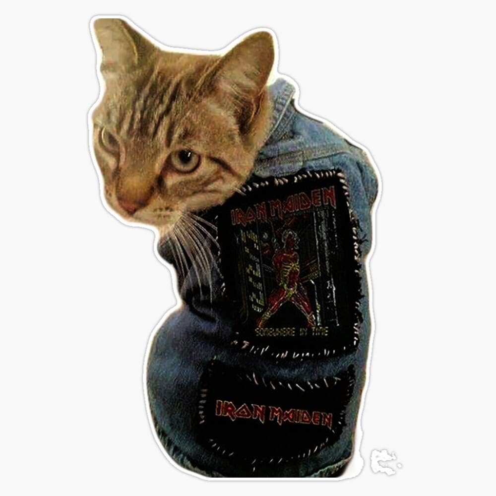 Leyland Designs Iron Maiden Cat Sticker Outdoor Rated Vinyl Sticker Decal for Windows, Bumpers, Laptops or Crafts 5