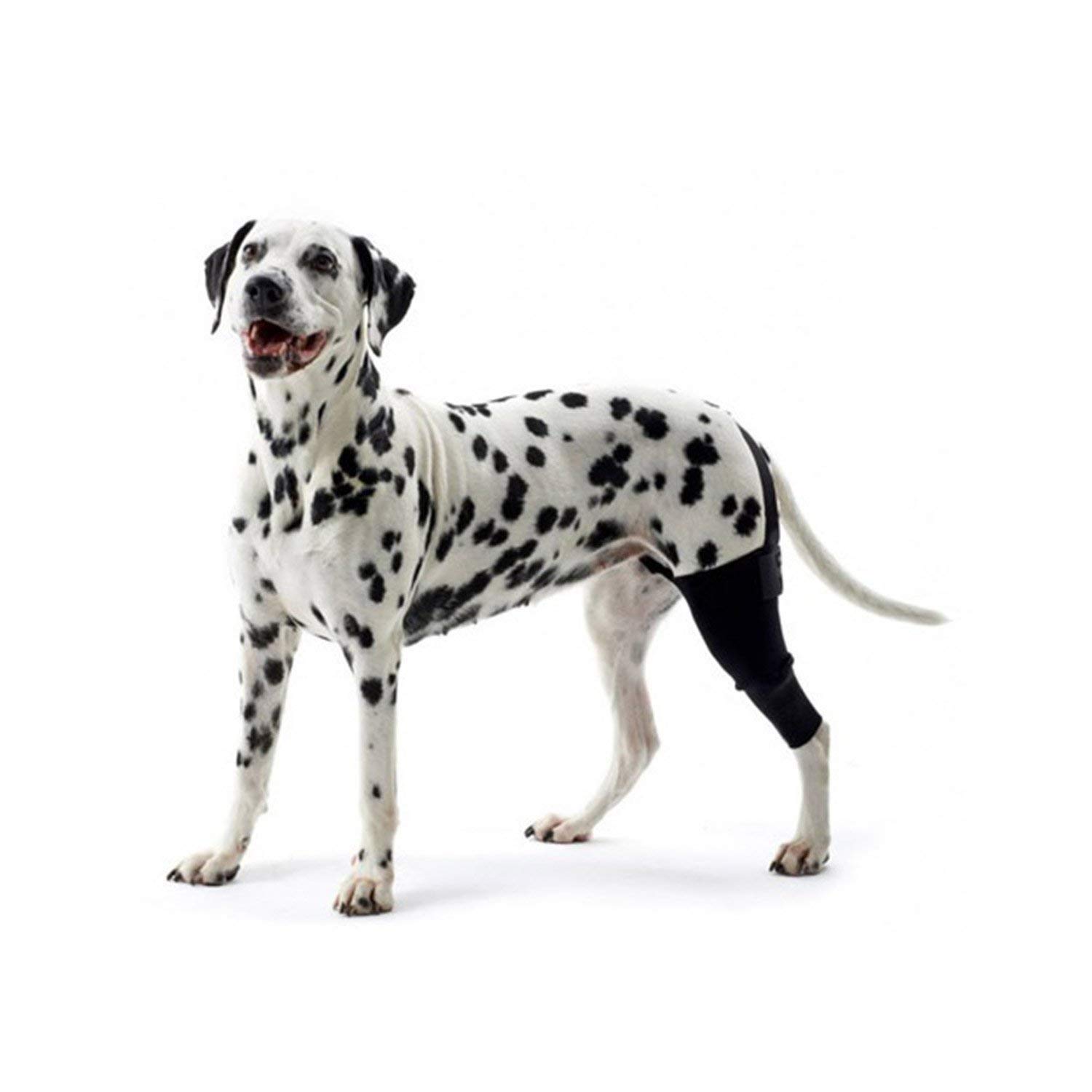 Kruuse Left Rehab Knee Protector for Dogs, Right, X-Large — image 1