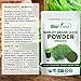 Biofinest Barley Grass Juice Powder - 100% Pure Freeze-Dried Antioxidant Superfood - USDA Organic Vegan Raw Non-GMO - Boost Energy & Immunity - for Smoothie Beverage Blend (4 oz Resealable Bag)