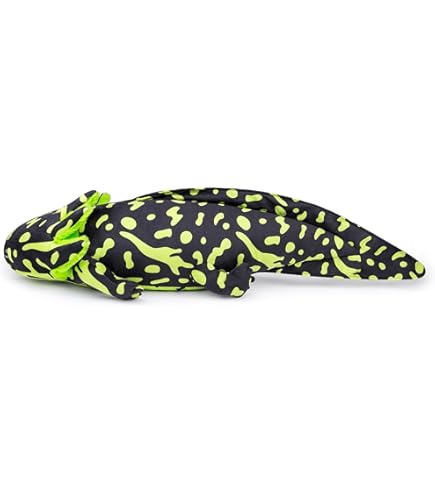 61nwGfs1EhL._AC_UL495_SR435,