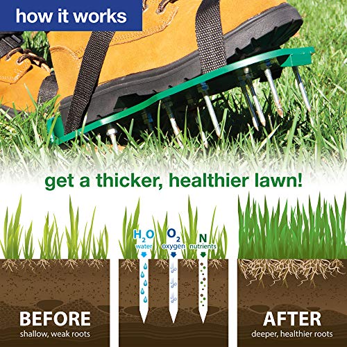 The Paragon Lawn Aerator Spike Shoes, Effectively Aerating Lawn Soil, Comes with 2 Adjustable Straps with Secure Buckles, Universal Size That Fits All, for a Greener and Healthier Garden or Yard - Thumbnail 3