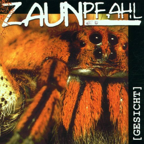 Zaunpfahl - Nicht geglaubt Lyrics - Zortam Music