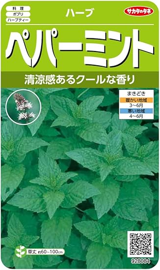 Amazon サカタのタネ 実咲ハーブ8084 ペパーミント ハーブ ハーブ